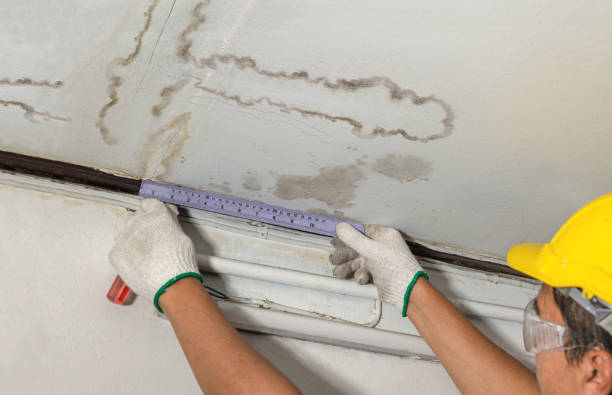 Reliable Water Damage contractor in Morrison, CO by Water Damage Irwin